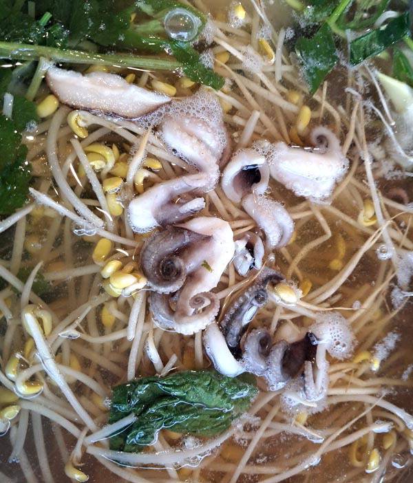 주꾸미 샤부샤부.