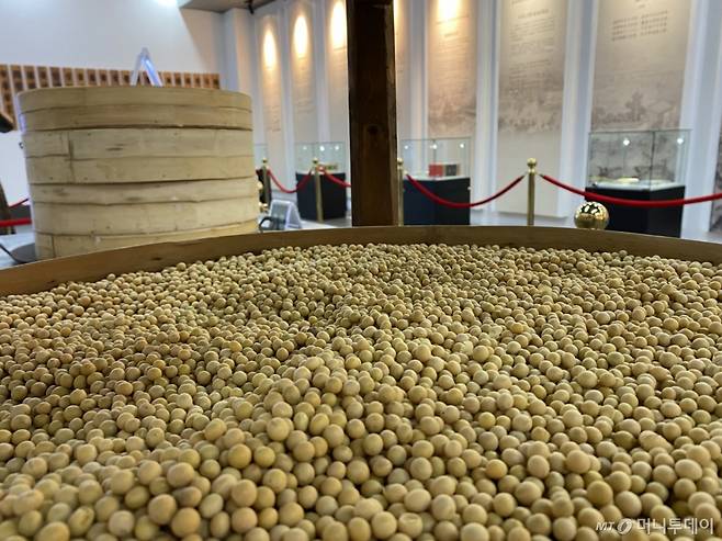 중국 광둥성 소재 한 장류 전문 식품기업 역사관에 장의 원료가 되는 대두가 전통 발효설비들과 함께 전시돼 있다. /사진=우경희