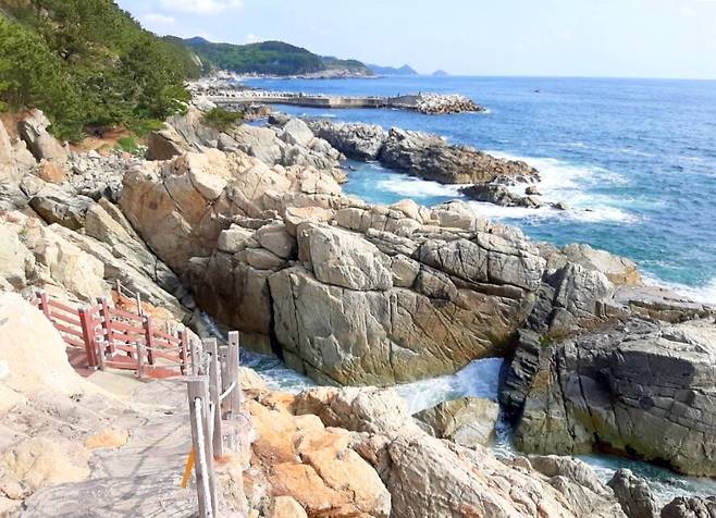 영덕 노물리 일대 해안 산책로