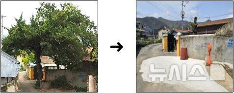 [경주=뉴시스] 송종욱 기자 = 경북 경주시 안강읍 육통1리 마을의 상징인 수령 수백 년인 향나무와 주민 대대로 이용해 온 우물이 사라지면서 주민 간 이런저런 소문이 퍼지면서 마을이 시끌벅적하다. 사진은 애초의 향나무·우물 모습(왼쪽)과 향나무·우물을 없앤 후 콘크리트로 덮은 모습. 2025.04.29. sjw@newsis.com