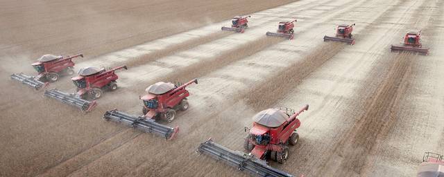 브라질의 한 농장에서 콤바인을 동원해 콩을 수확하고 있다. AP연합뉴스