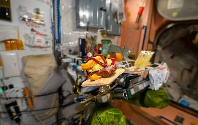 한국계 미국인 우주비행사 조니 김이 우주에서 만든 고추장 버거. 출처: 조니김 인스타그램. 2025.04.29