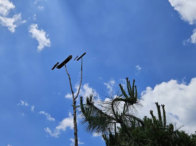 오늘날씨, 내일날씨, 주간날씨 예보 ⓒbnt뉴스= 4월 마지막날이자 수요일인 오늘(30일) 날씨는 고기압의 영향으로 전국이 대체로 맑겠고, 아침 최저기온은 6~14도, 낮 최고기온은 19~28도가 되겠다. 기상청 오늘날씨 예보에 따르면 이날 낮 기온이 28도까지 올라가는 등 초여름 날씨를 보이겠다.