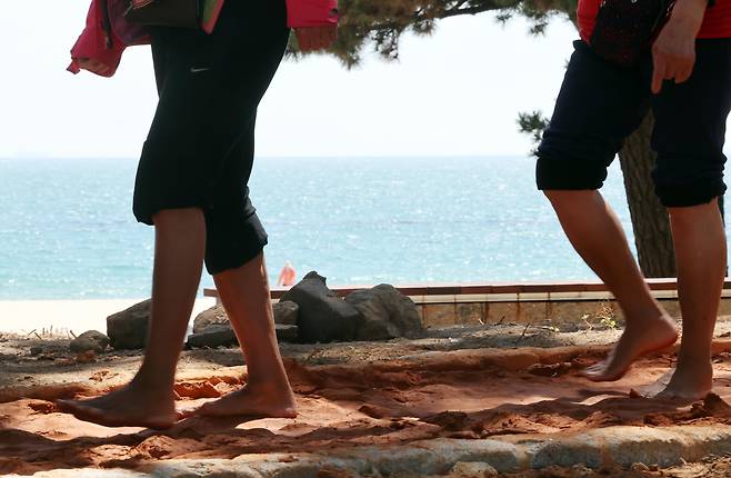 부산 해운대구 해운대해수욕장 송림공원에 조성된 '해운대 바다 황톳길'을 찾은 시민들이 맨발 걷기를 즐기고 있다./뉴시스
