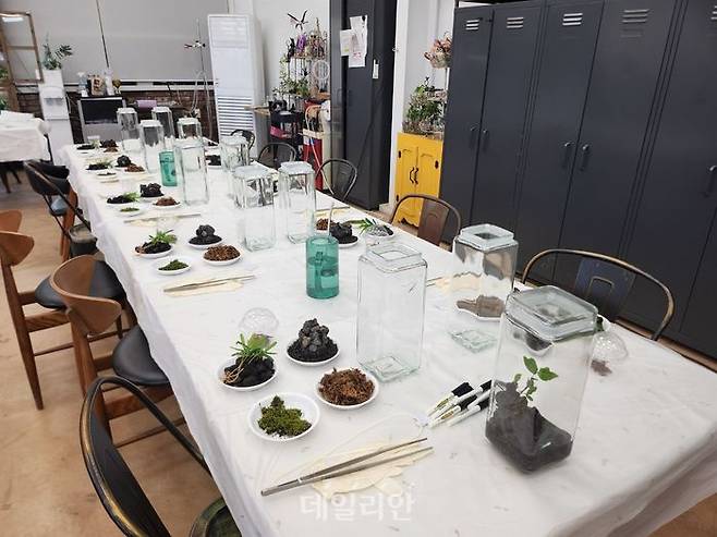 비바리움 만들기 제작을 위한 농업자원이 준비돼 있다. ⓒ데일리안 김소희 기자