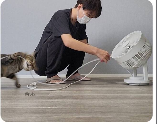 고양이가 전원케이블 물어뜯어서 보호 커버 씌우는중.jpg