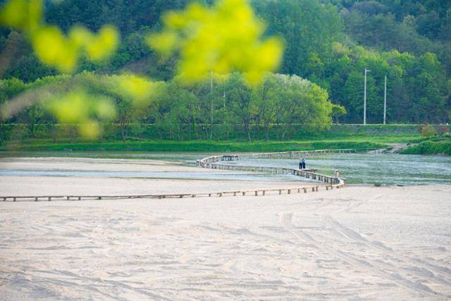 무섬마을과 외부를 연결하는 외나무다리가 놓여 있다. 무섬마을과 외부를 연결하는 외나무다리가 놓여 있다.