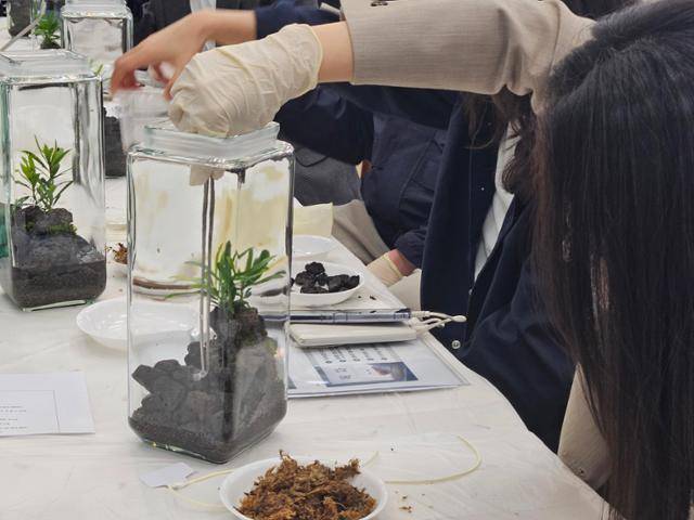 전북 익산 치유농장 '우리들의 정원'에서 29일 한 참여자가 '비바리움 만들기' 프로그램에 몰입하고 있다. 익산=이유지 기자