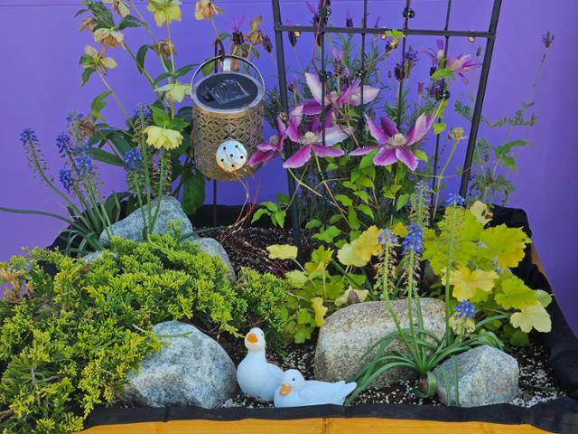 전북 익산 치유농장 '우리들의 정원'에 29일 조성돼 있는 텃밭. 치유농업 참여자들이 직접 만들어 관리하고 있다. 익산=이유지 기자