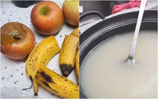 김건희 일가가 운영하는 경기 남양주시의 한 요양원에서 입소자들에게 제공된 음식들. 간식으로 나온 과일(왼쪽 사진)은 썩어 문드러져 있고, 식사로 나온 곰탕에는 고기나 파 등 건더기가 하나도 없다. MBC 뉴스 화면 캡처