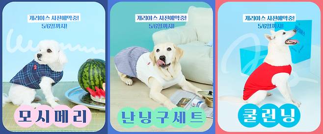 BYC 개리야스 여름 신제품.[사진제공=BYC]