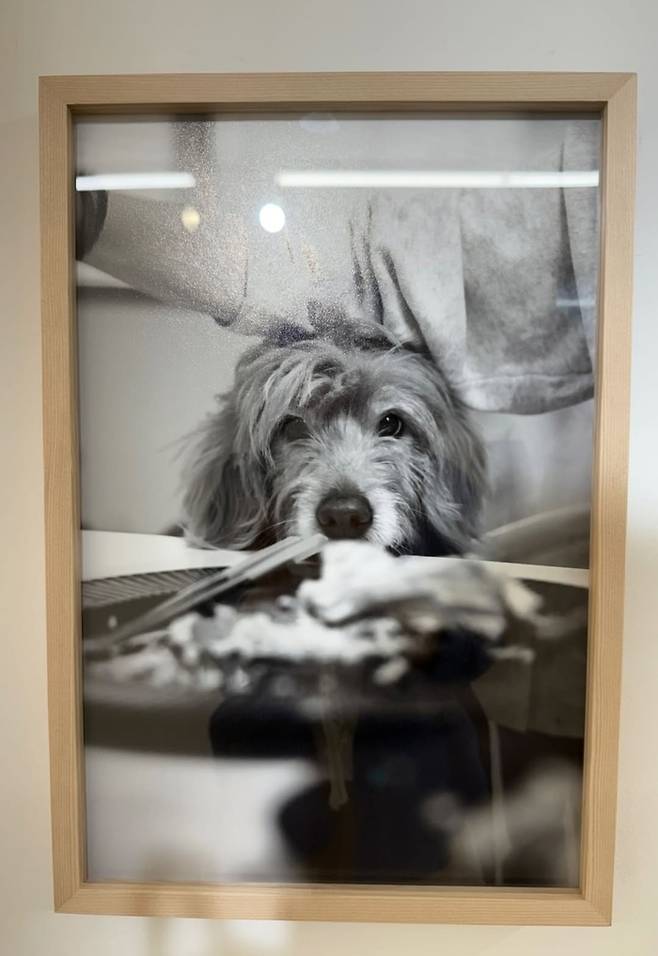 엄태웅은 지난 4월 5일부터 30일까지 서울에서 개인전을 열고, ‘시간’을 테마로 한 감각적이고 섬세한 사진들을 선보였다. 사진=이효리 sns