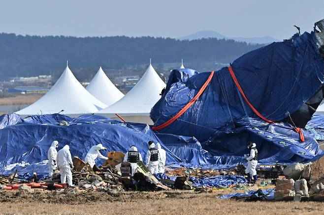 정부가 앞으로 인명 사망 사고를 낸 항공사에 1년간 운수권 배분을 제한한다./사진=뉴시스