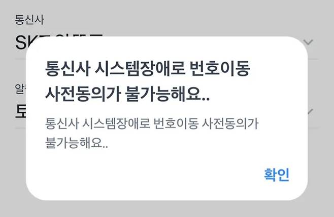 29일 오후 3시부터 5시까지 SKT 번호이동 사전 동의 전산시스템 장애로 이용자들이 불만을 겪었다. [온라인 커뮤니티 캡처]