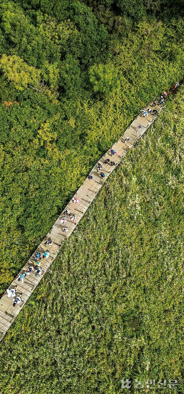 위에서 내려다본 대회 풍경.