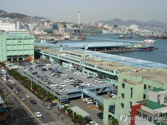 부산 공동어시장 전경/연합뉴스