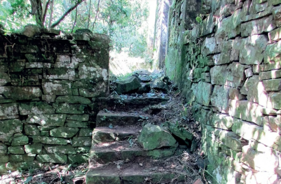 2015년 아르헨티나 미시오네스의 예수회 유적 인근 밀림에선 나치 전범의 은신처가 발견됐다. 출처=인포바에