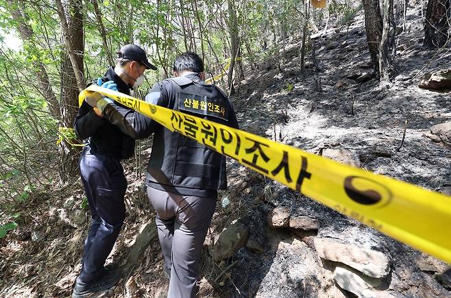 대구 함지산에서 발생한 대형 산불이 이틀만에 진화됐다가 일부 지역에서 재발화한 가운데 30일 대구 북구 노곡동 최초 발화지 현장에서 산림청, 경찰, 소방 등 유관기관 관계자들이 현장감식을 진행하고 있다. ⓒ연합뉴스