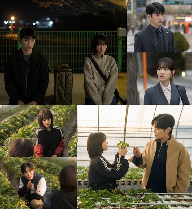 티브이데일리 포토