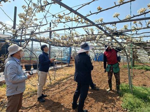 과수 저온 피해 예방 지도 점검 [농촌진흥청 제공. 재판매 및 DB 금지]