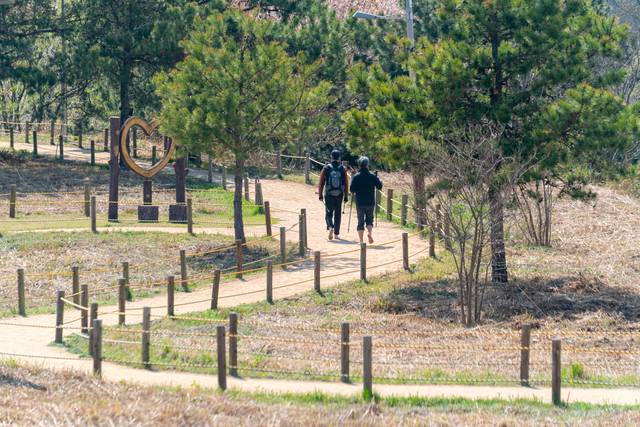 사진5) 월명산에는 930m 길이의 숲속 황톳길 및 황토볼 체험장과 자연을 오감으로 느낄 수 있는 다양한 체험 공간이 마련돼있다. /군산시 제공
