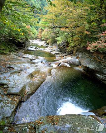 함양 지리산 칠선계곡(함양군 제공. 재판매 및 DB금지).