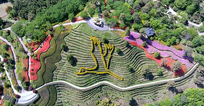 두루미 형상 언덕 주변에 붉은 철쭉이 활짝 피어 눈길을 끌고 있다./김영근 기자