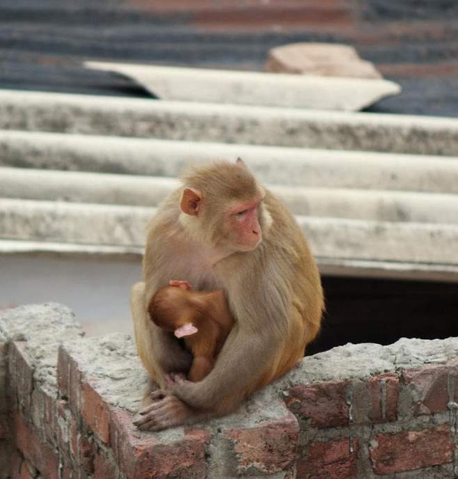 7de99e2cf5d518986abce89542847d6b295c0c