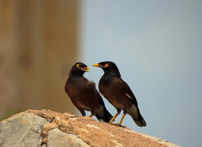 7feb9e2cf5d518986abce89540857465159e43