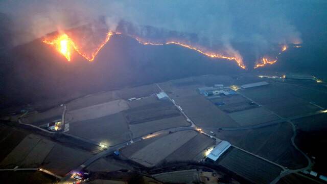 온 산을 집어삼킬듯 산청과 의성, 울주, 김해 등 영남 지역에 일어난 산불이 계속된 지난달 23일 저녁, 경북 의성군 점곡면 야산에서 불길이 번지고 있는 모습. 김영원 기자 forever@hani.co.kr