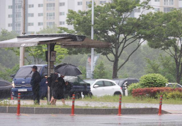 23시간 만에 진화됐다가 재발화해 확산한 대구 북구 함지산 산불이 다시 꺼진 1일 오후 함지산 인근 서변동에 단비가 내리고 있다. 대구=연합뉴스