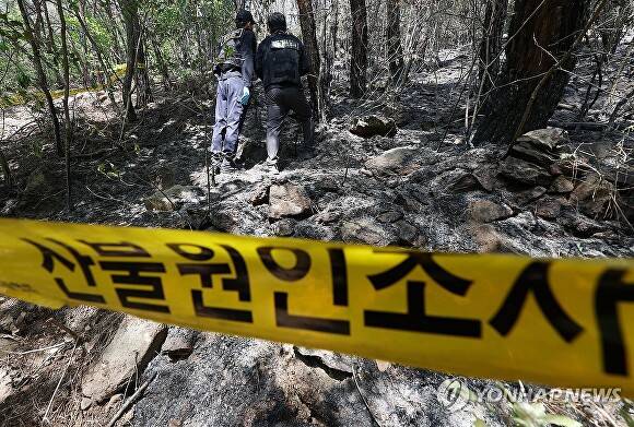 대구에서 발생한 대형 산불이 이틀 만에 진화됐다가 일부에서 재발화한 가운데 지난달 30일 대구 북구 노곡동 최초발화지 현장에서 산림청, 경찰, 소방 등 유관기관 관계자들이 현장감식을 하고 있다. [사진=연합뉴스]