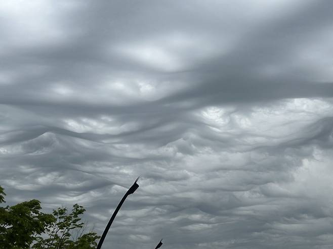 오늘 오전 서울 송파구에서 찍힌 구름 사진(시청자 변인규 제공)