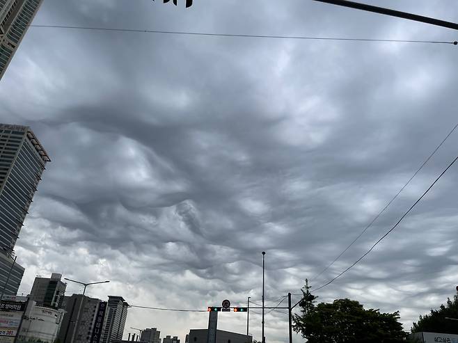 시청자 황은혜 제공