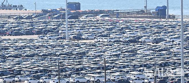 [평택=뉴시스] 김종택 기자 = 29일 경기 평택항 자동차 전용부두에 선적을 기다리는 수출용 차량이 세워져 있다. 2025.04.29. jtk@newsis.com