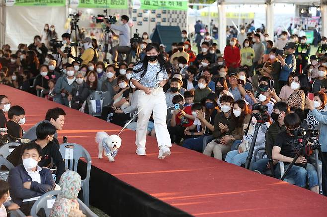 [임실=뉴시스] 지난해 '임실N펫스타'의 전국 반려동물 패션쇼.  *재판매 및 DB 금지