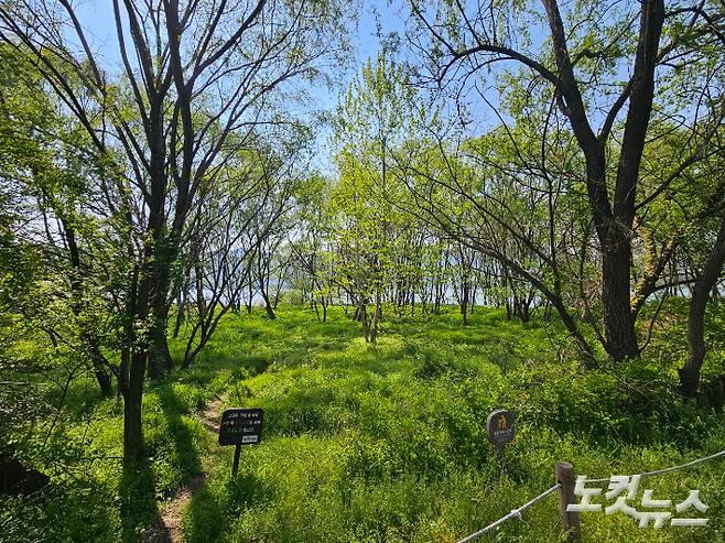 생태관찰로 너머로 출입금지 푯말이 붙어있다. 멀리 한강 건너로는 워커힐 호텔이 있는 아차산이 보인다. 권민철 기자