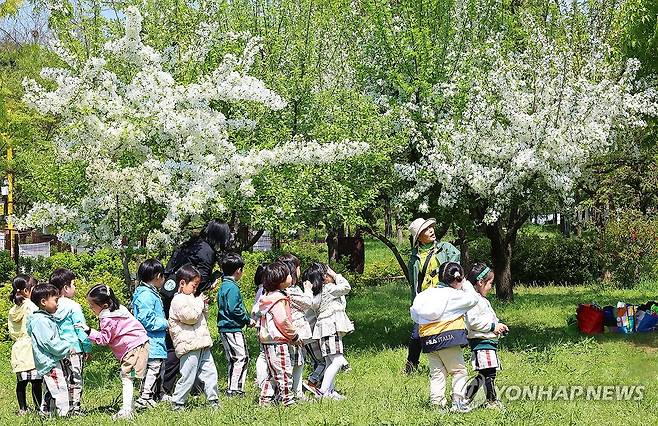 야외학습하기 좋은 봄날 (인천=연합뉴스) 임순석 기자 = 어린이날 연휴를 사흘 앞둔 29일 인천 부평구 원적산공원에서 야외학습 나온 어린이들이 숲해설가 선생님의 설명을 듣고 있다. 2025.4.29 soonseok02@yna.co.kr