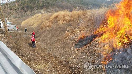 논밭 두렁 태우기 [연합뉴스 자료사진]