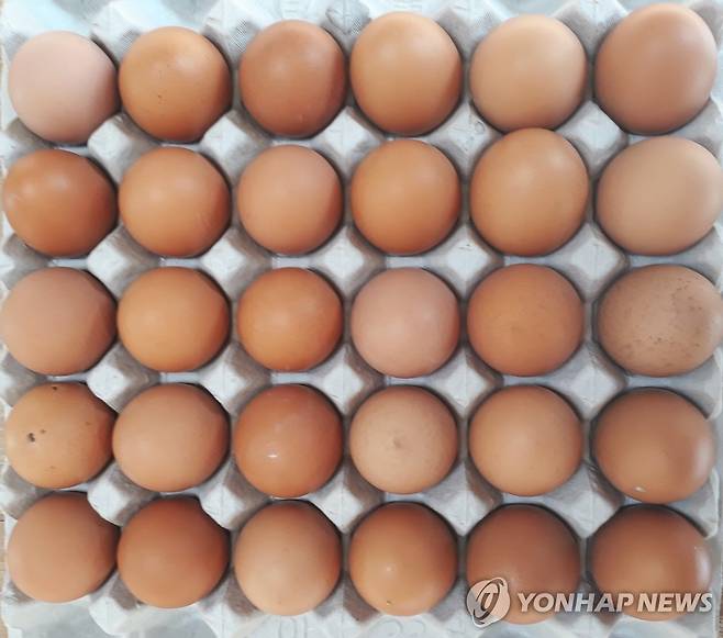 계란 한판 [연합뉴스 자료사진]