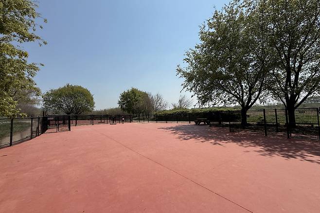 ▲ 파주시 금릉동 '공릉천 반려견 놀이터' 전경.