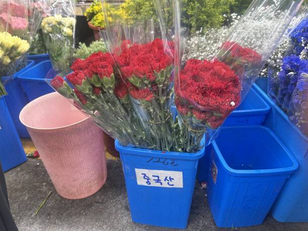지난달 30일 서울 서초구 양재동 꽃시장에 놓여 있는 카네이션. 원산지로 ‘중국산’이 표시돼 있다. (사진=박원주 수습기자)