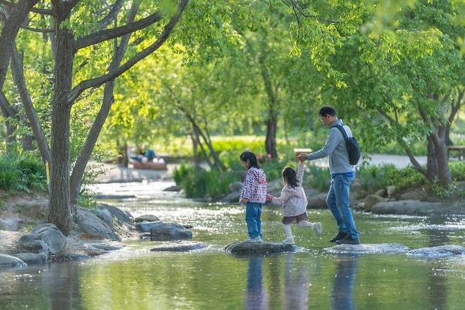 국가정원 개울길 징검다리를 건너고 있는 아이들. 순천시 제공
