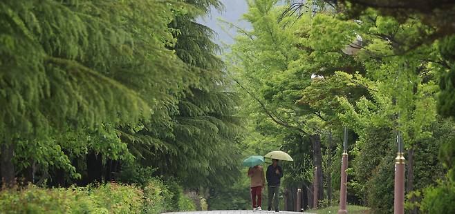 1일 오후 경남 창원시 성산구 용호동 일대에 우산을 쓴 시민이 걸어가고 있다. /연합뉴스