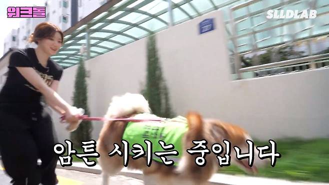 SQvjHw 대형견 목욕알바 했다가 미친 시급에 깜짝 놀란 알바생 근황 ㄷㄷㄷ..JPG 대형견 목욕알바 했다가 미친 시급에 깜짝 놀란 알바생 ㄷㄷㄷ..JPG