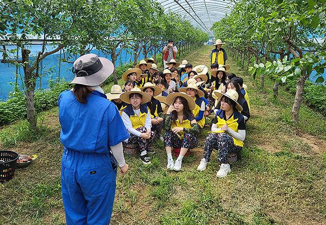 의성군자원봉사센터가 진행한 '여행어때 봉사어때 의성어때' 볼런투어에 참여하며 농촌일손돕기 설명을 듣는 대학생 참가자들의 모습 (사진=의성군자원봉사센터)