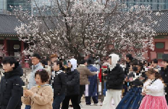 올해 4월은 꽃샘추위와 이른더위 등 '요란한 날씨'가 이어졌다.  [사진=연합뉴스]