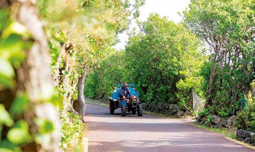 관광객들이 마지막 배를 타고 섬을 빠져 나가면 주민의 시간이 시작된다. 한 주민이 경운기를 털털 몰고 지나간다.