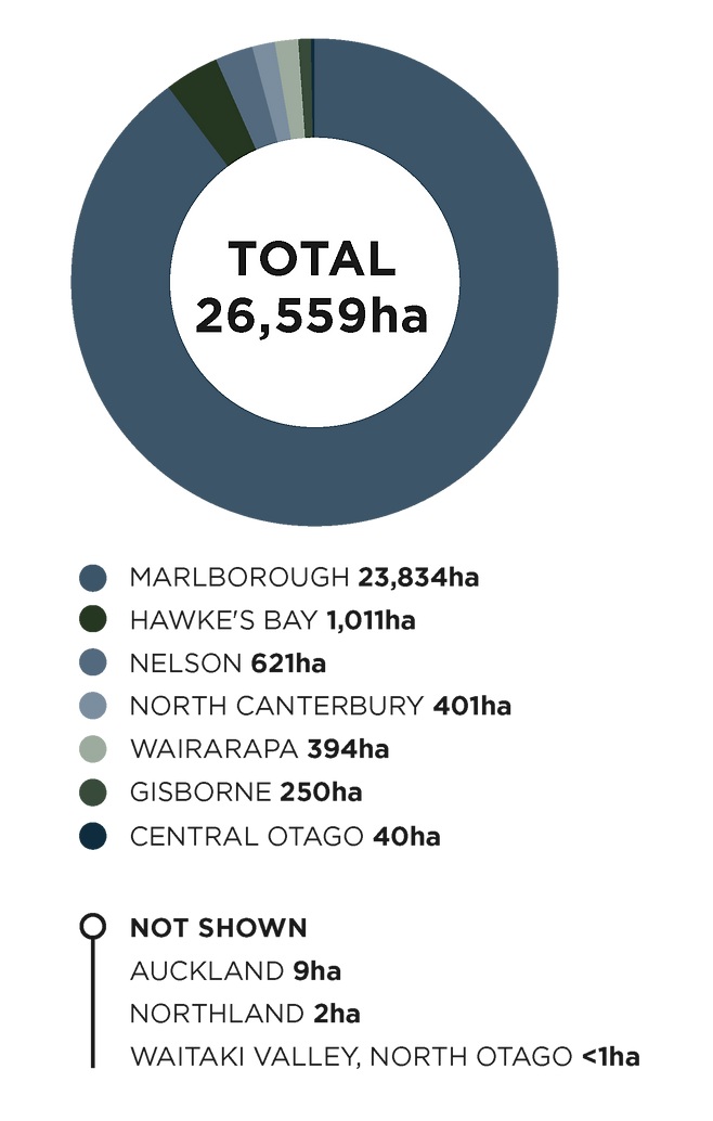 뉴질랜드 소비뇽블랑 산지별 생산 현황. 협회