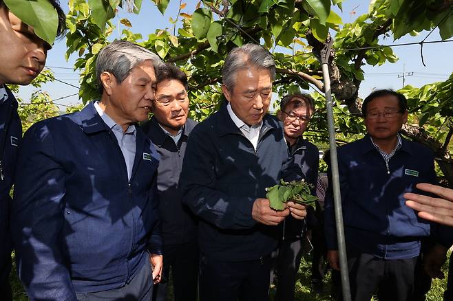 농협중앙회 강호동 회장(왼쪽에서 3번째)은 경북 상주를 찾아 최근 이상저온으로 냉해 피해를 입은 배 재배농가를 방문하여 피해상황을 점검하고 있다. 농협중앙회 제공